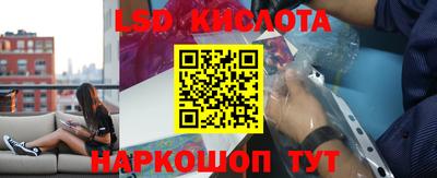 крисы Камышлов