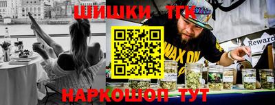 крисы Камышлов