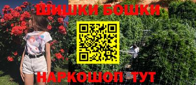 крисы Камышлов