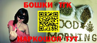 крисы Камышлов