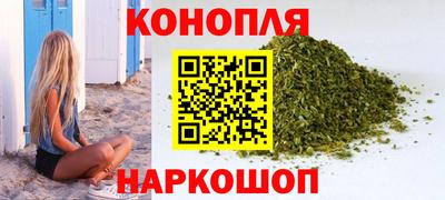 крисы Камышлов
