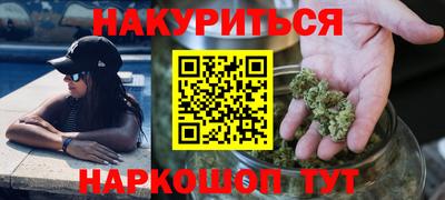 крисы Камышлов