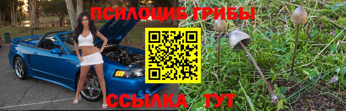 Лесозаводск  Галлюциногенные грибы прущие грибы  Вход с VPN 