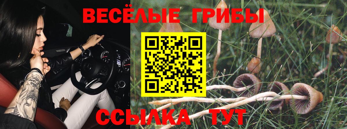 Псилоцибиновые грибы мицелий Лесозаводск