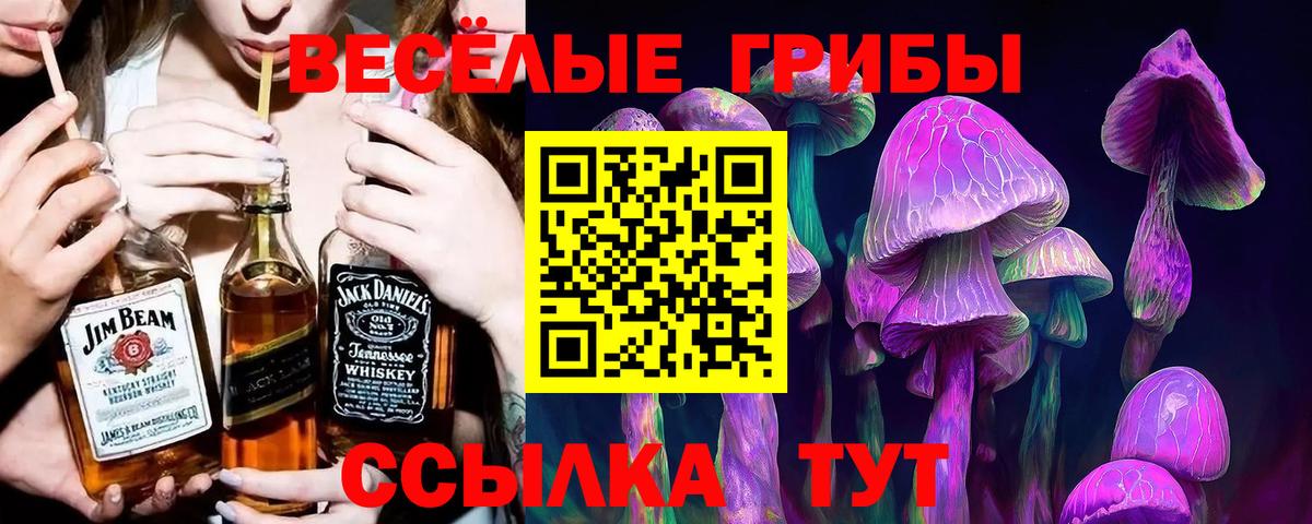 Галлюциногенные грибы Лесозаводск